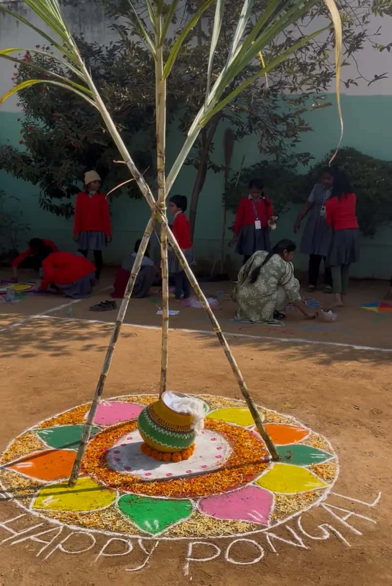 Pongal celebration with rangoli in the school courtyard